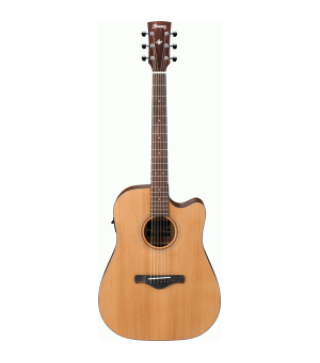 Ibanez AW65ECE LG Artwood Acoustic/Electric Guitar